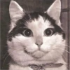 CAT WORLD 2 22