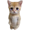 Gatito (Parte 1) 20