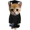 Gatito (Parte 1) 21