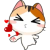 gojill meow 24