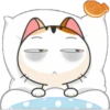 gojill meow 25
