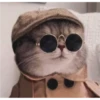 CAT WORLD 2 23