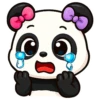 PANDITA 15