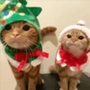 🎄🐱 Navidad Gatos 🐱 🎄 24