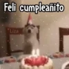 🎊 Feliz Cumpleaños 🎊 26