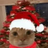 🎄🐱 Navidad Gatos 🐱 🎄 26