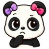 PANDITA 16