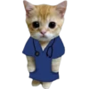 Gatito (Parte 1) 25