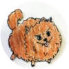 Drinking dogs 18