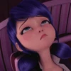 Miraculous Ladybug 24
