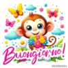 Buongiorno 9