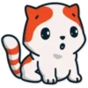 Marsey the cat 13