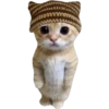 Gatito (Parte 1) 26