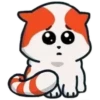 Marsey the cat 14
