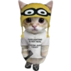 Gatito (Parte 1) 27