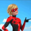 Miraculous Ladybug 28