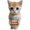 Gatito (Parte 1) 28