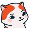 Marsey the cat 17