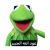 عود انته الجبير