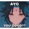 random genshin stickers 29