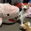 CAT WORLD 2 29