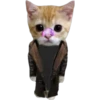 Gatito (Parte 1) 29