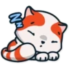 Marsey the cat 18