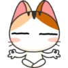gojill meow 29