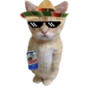 Gatito (Parte 1) 30