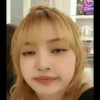 Lisa meme 29