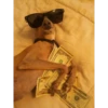 Money Money Money by NJ 29