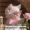 Chantilli 이래 @iluminar.el.alma Qué ganas de una relación sana donde hagan todo lo que yo digo.