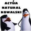 Kowalski opciones 8
