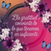 Lla gratitud convierte lo lo que tenemos en suficiente