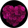 Full Rosa💞3🇵🇪Clásica 6