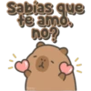 Capybara cute 🤎🐾 9