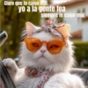 Claro que te caigo mal, yo a la gente fea siempre le caigo mal Oyosa