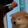 🧿Memes pop 7😎🤭 6