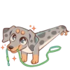 Perro Rum Rum💞1🇵🇪Clásica 6