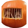 Halloween 1 Clásica 7