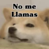No me Llamas