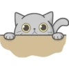 Cat Fullmoon 5