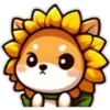 Perrito flor amarilla 🐶🌻 8