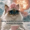 Sorry, no puedo, mi nutrióloga me prohibio las migajas