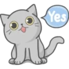 Cat Fullmoon 6