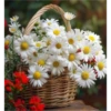 FLORES HERMOSAS 8