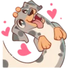 Perro Rum Rum💞1🇵🇪Clásica 7