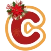 ABC 🌺 POINSETTIA LOWER CASE LETTERS 10