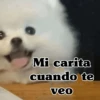 Mi carita cuando te veo