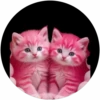 Full Rosa💞3🇵🇪Clásica 10